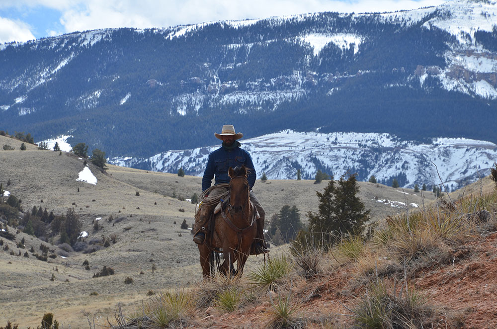 Cattle Drive Vacation Dates & Rates Dryhead Ranch