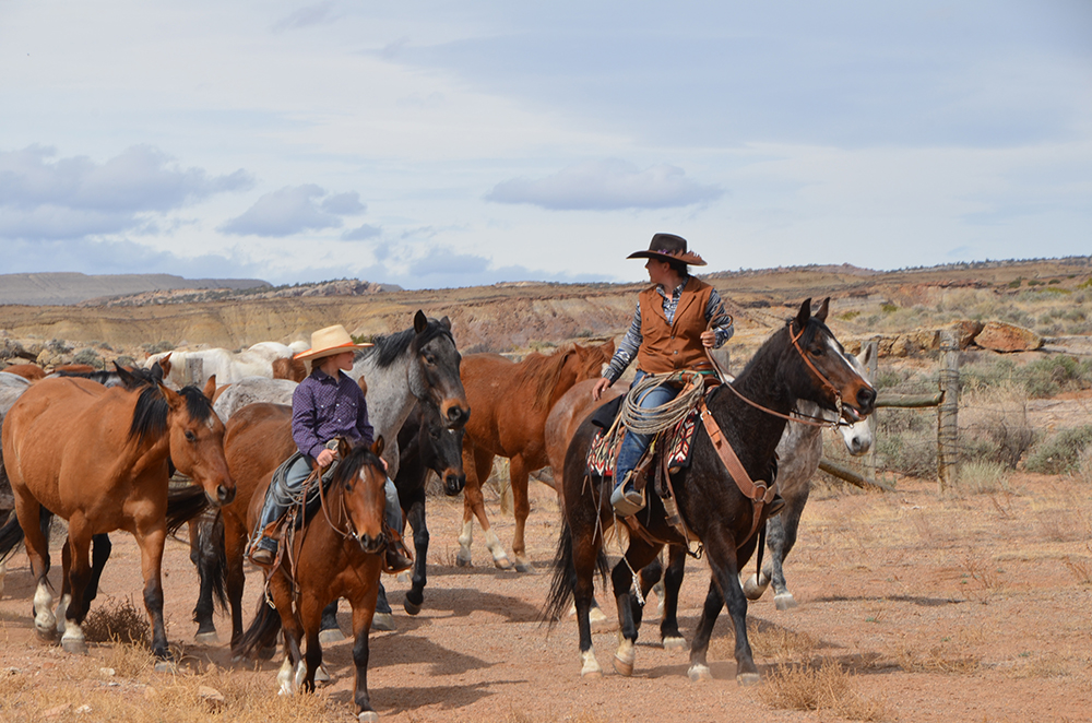 Cattle Drive Vacation Dates & Rates - Dryhead Ranch