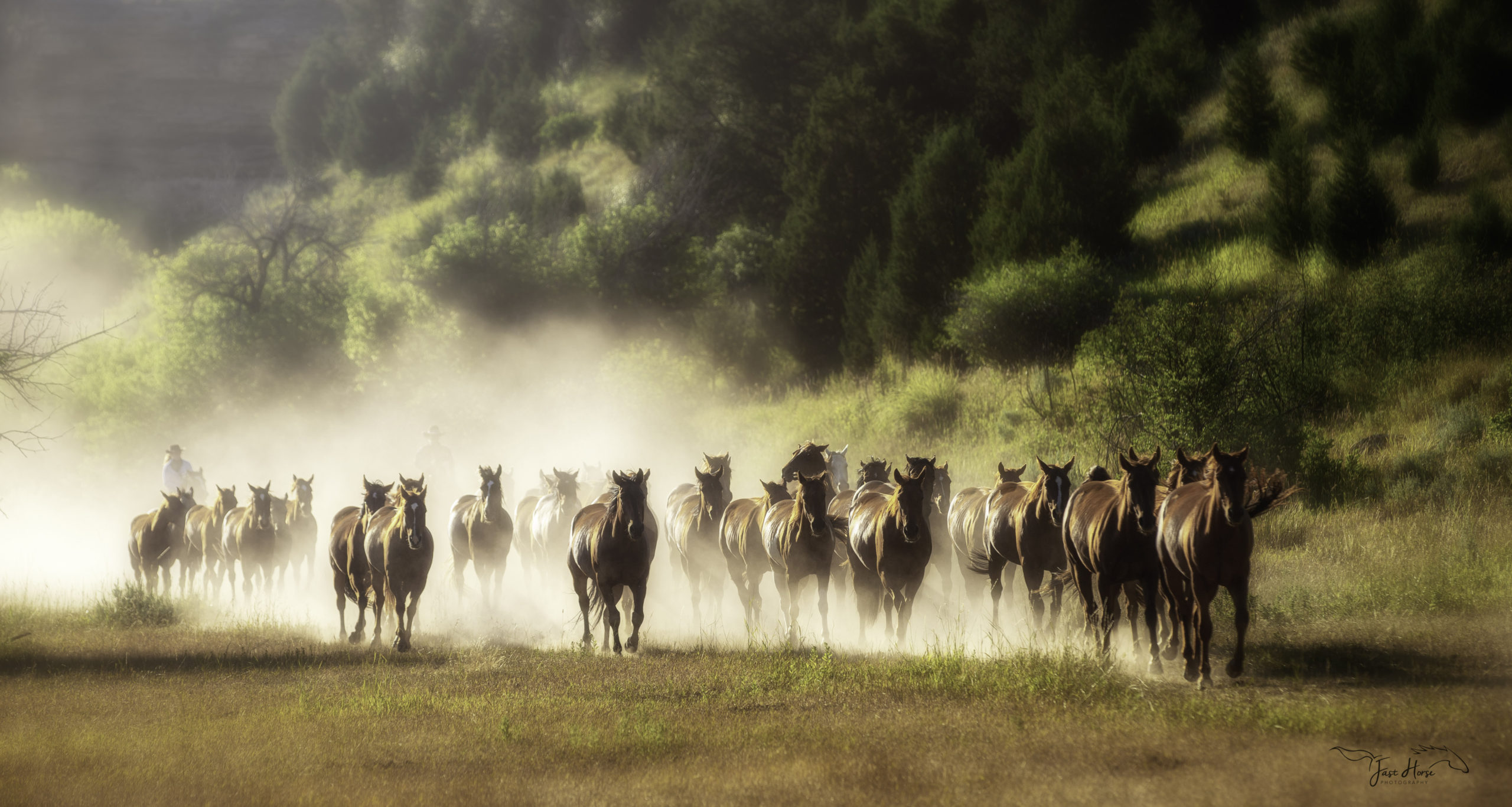 Herding Ranch Horses-Fast Horse Photography