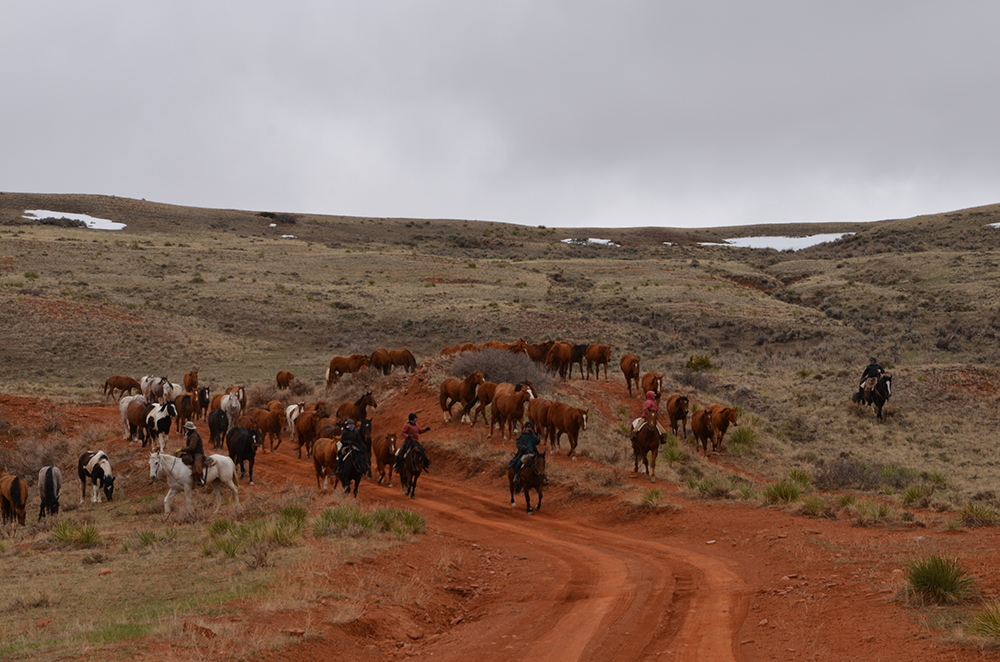 visit montana ranch